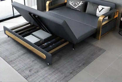 Foldable Sofa Bed with 2 Pillows, Couches and Sofas for Living Room