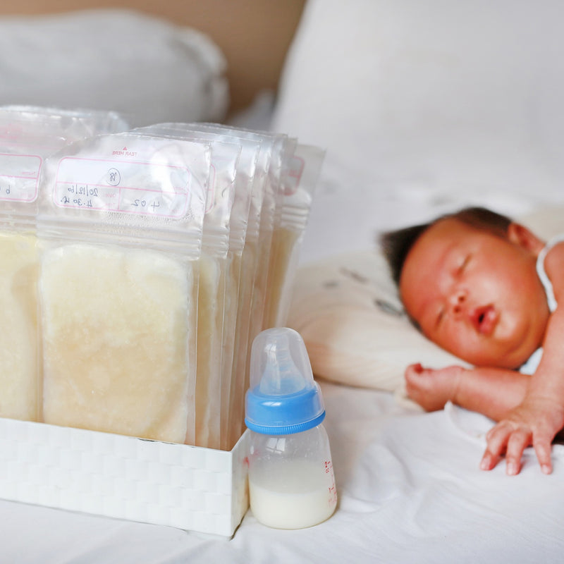 Breastmilk Storage Bags Double Zipper Seal (1 Pc)