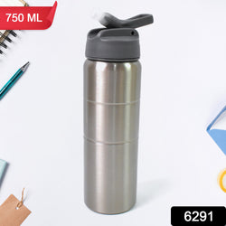 Steel Water Bottle  Fridge Water Bottle With Straw (750ml)