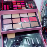 Complete Cosmetic Set with Eyeshadows, Lipsticks, Blushes, Brushes & Mirror in a Stylish Pink Travel Case