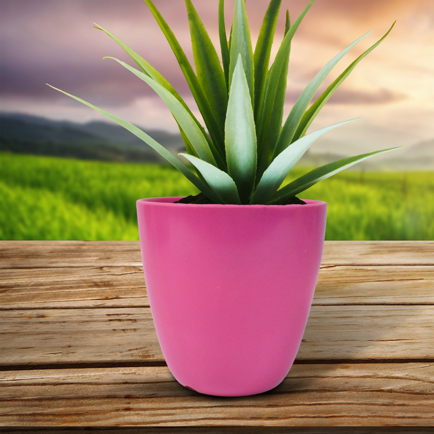 Plastic Flower Valencia (Pot) Home And Outdoor (1 Pcmix Colour)