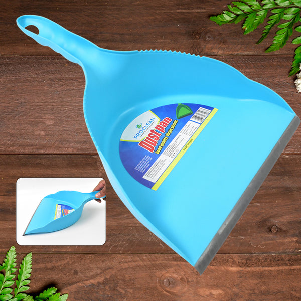 Heavy Plastic Dustpan With Handle (1 Pc)