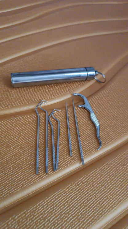 7 In 1 Stainless Steel Toothpick Flossier Set (1 Set  With Case)